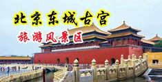 操逼掰逼抽插中国北京-东城古宫旅游风景区